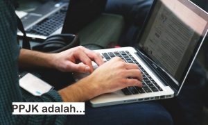 ppjk adalah
